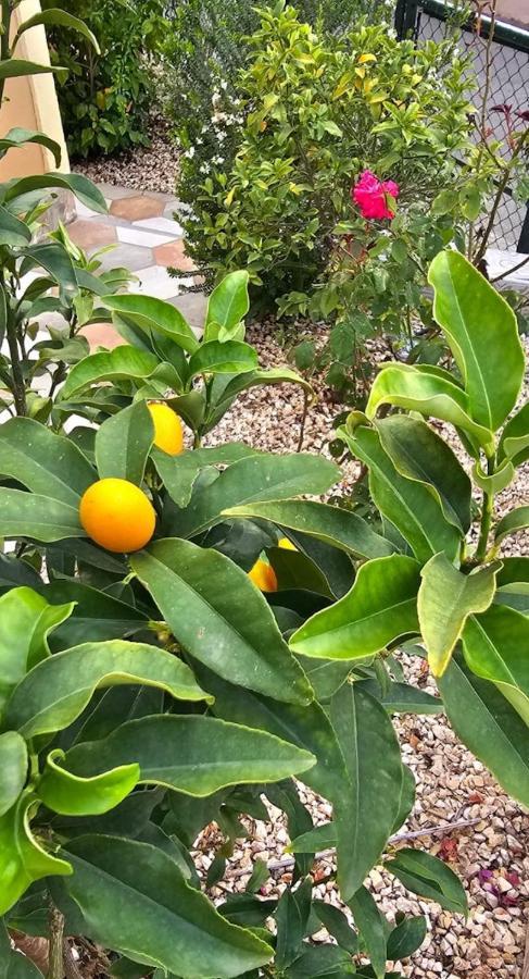 Adosado Calist Lägenhet Denia Exteriör bild